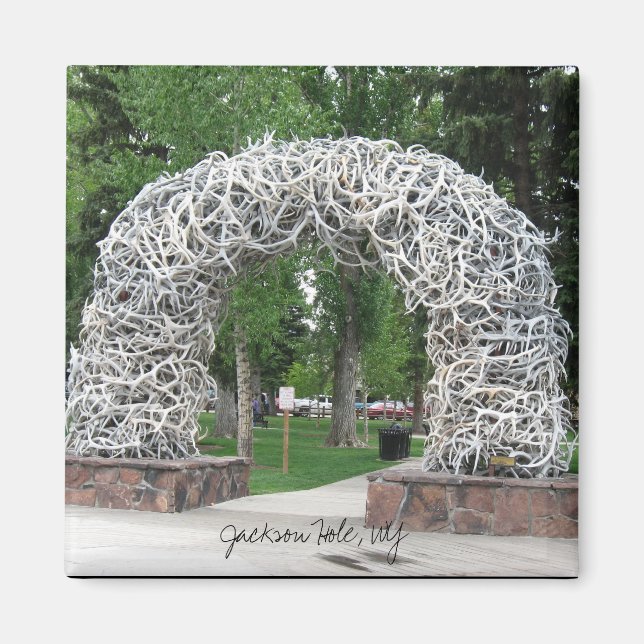 Íman Arch de Jackson Hole Antler (Frente)