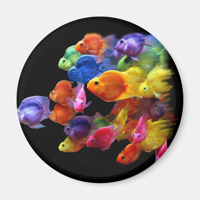 Íman Arco-íris de Parrotfish (Frente)