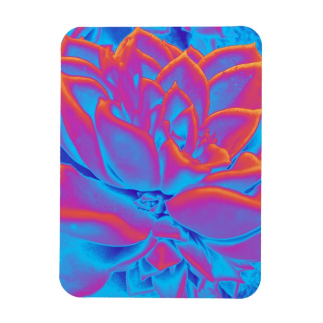 Íman Arco-íris - Planta suculenta (Vertical)