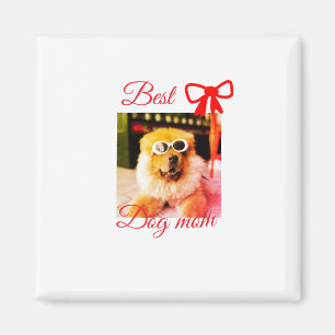 Íman Arco vermelho melhor cachorro mãe pai foto nome do