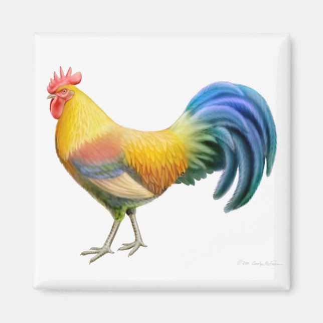 Íman Ardenner Rooster Square Magnet (Frente)