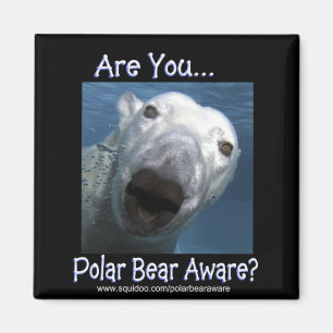 Íman Are_you_polar_bear_aware