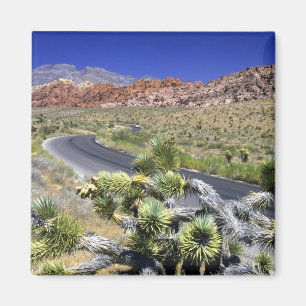 Íman Área de Conservação Nacional Red Rock Canyon, Las
