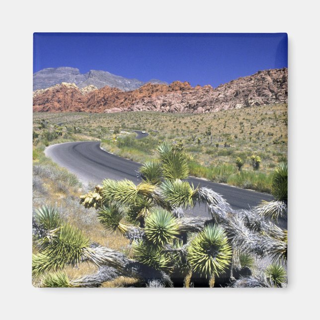 Íman Área de Conservação Nacional Red Rock Canyon, Las (Frente)