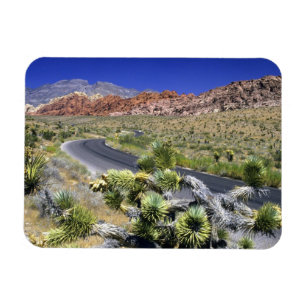 Íman Área Nacional de Conservação do Red Rock Canyon