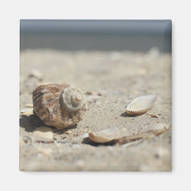 Íman Areia Areia Pelo Mar (Frente)