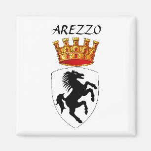 Íman Arezzo casaco de armas