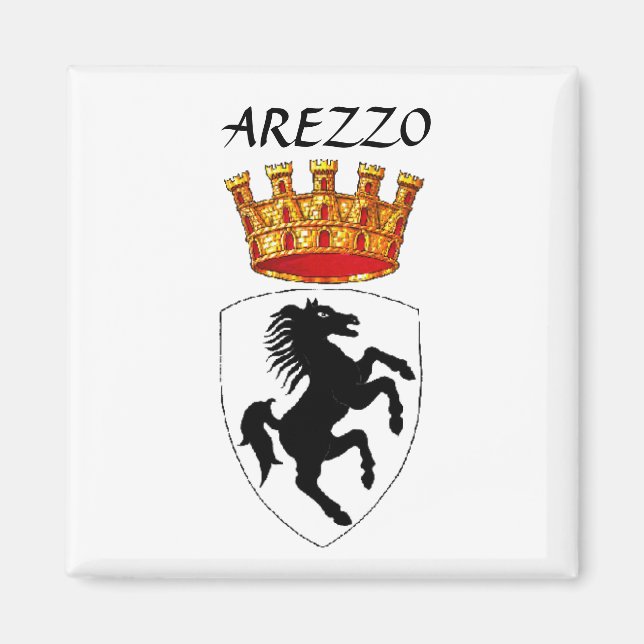 Íman Arezzo casaco de armas (Frente)
