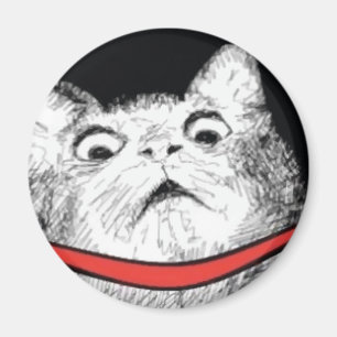 Íman Arfada surpreendida Meme do gato - ímã