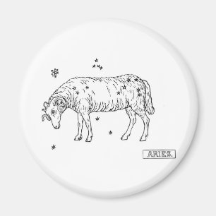 Íman Aries