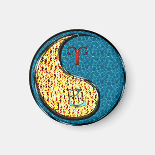 Íman Áries & Cobra de água