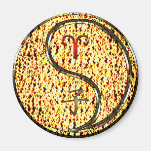 Íman Aries e Fire Rat