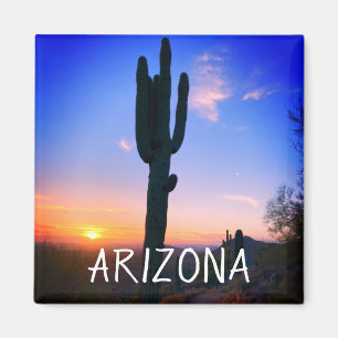 Íman Arizona Saguaro Cactus Sunset Souvenir Viagem
