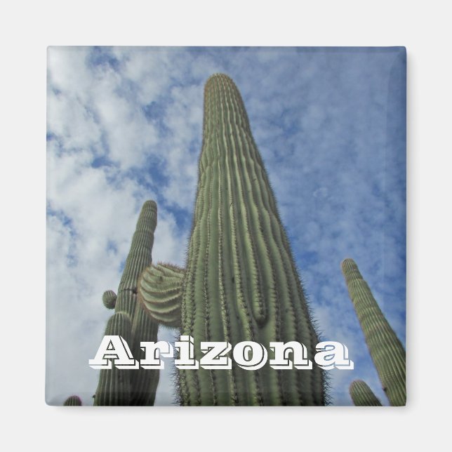 Íman Arizona Sudoeste Cactos Azul Sky Saguaro Cactus (Frente)
