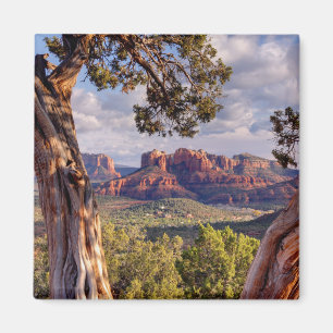 Íman Arizona vermelha da rocha Sedona