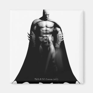 Íman Arkham City Batman Black and White Wide Pose