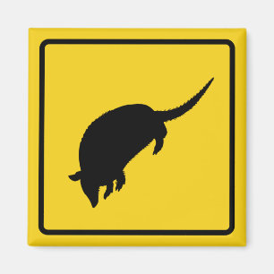 Íman Armadillo Warning Magnet