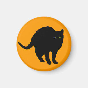 Íman Arqueamento do gato preto