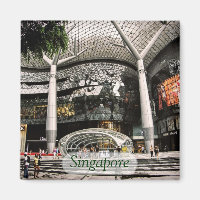 Arquitetura futurística Comprando o ímã de Singapu