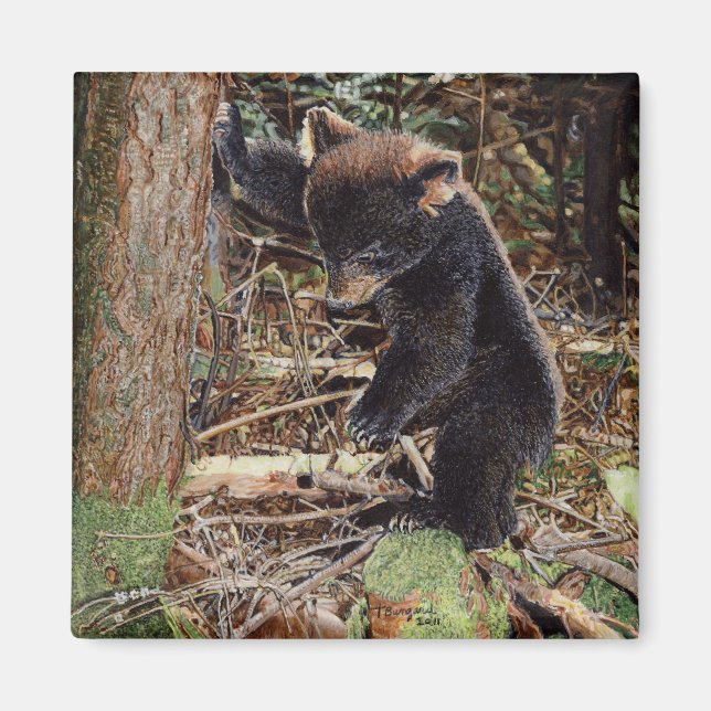 Íman Arrancado (Frente)