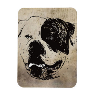Íman Art America Bulldog Presente De Amantes De Bulld