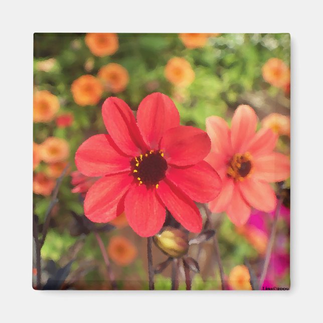 Íman ArtbyLina 66 (Frente)