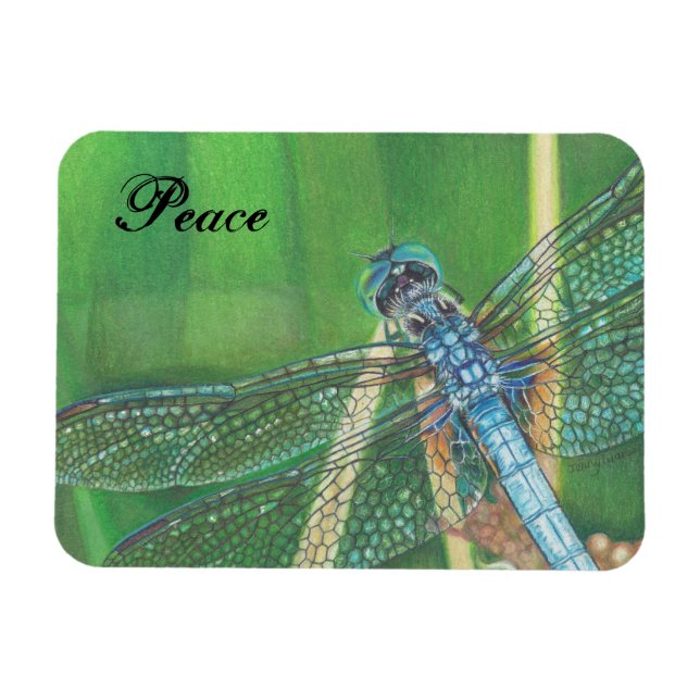 Íman Arte a lápis a cores Blue Dragonfly no Magnet (Horizontal)