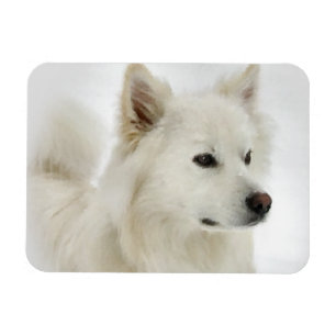 Íman Arte americana do cão Eskimo