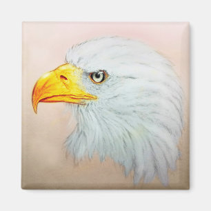 Íman Arte animal realística, ímã quadrado - Eagle