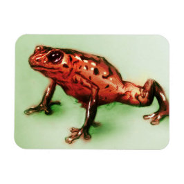 Íman Arte animal vermelha e verde, Imagem Fotográfica -