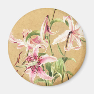 Íman Arte Botânica de Flor Lírio Oriental Rosa Vintage