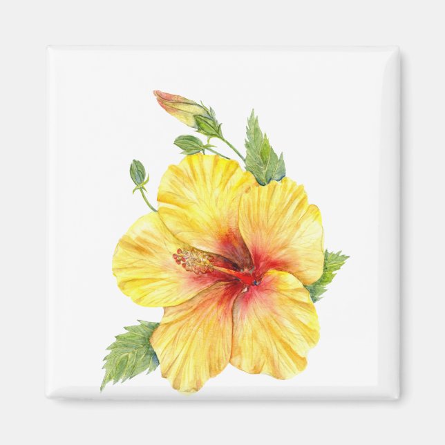 Íman Arte Botânica Yellow Hibiscus (Frente)