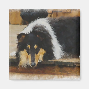 Íman Arte com Presentes Collie de três cores