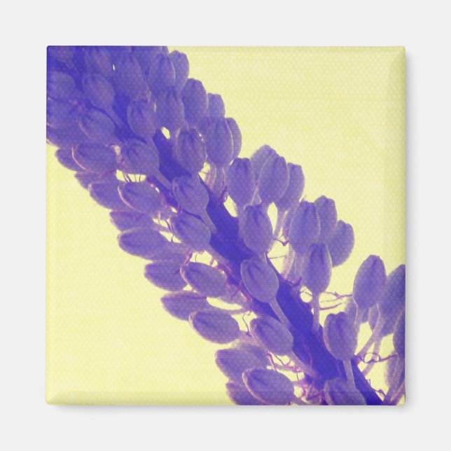 Íman Arte da flor do verão - ímã (Frente)