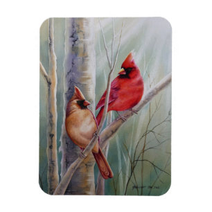 Íman Arte de Aquarela com Par de Pássaro Cardinho Nort