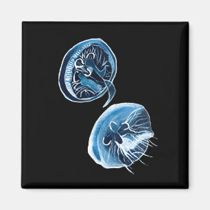 Íman arte de aquarela de águas-vivas lunares