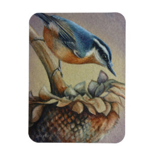 Íman Arte de Aquarela de Aves e Girassóis