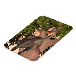 Íman Arte de Aventura do Dinossauro Gigantoraptor para