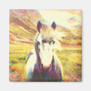 Íman Arte de Digitas do cavalo de Islândia