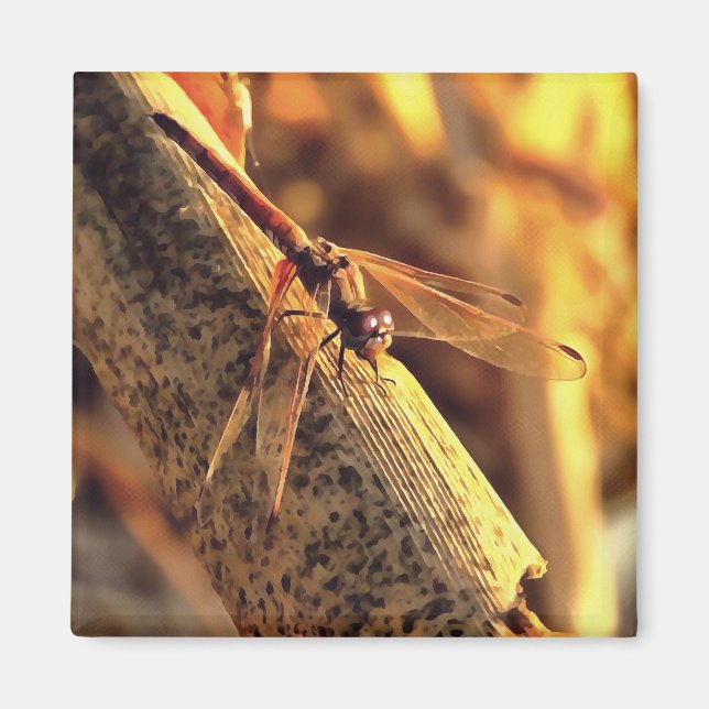 Íman Arte de Dragonfly Vermelha Elegante (Frente)