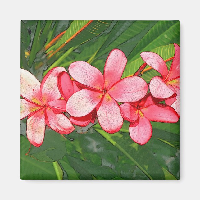 Íman Arte de Frangipani Tropical Rosa (Frente)