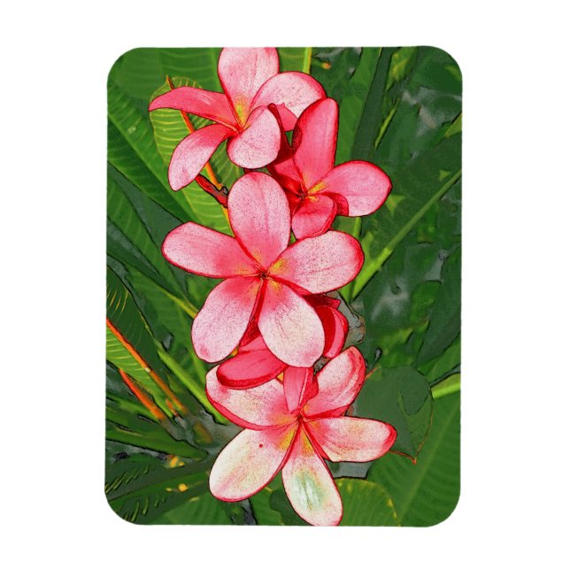 Íman Arte de Frangipani Tropical Rosa (Vertical)