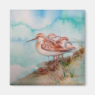 Íman Arte de Pássaro de Praia Curta de Aquarela Persona