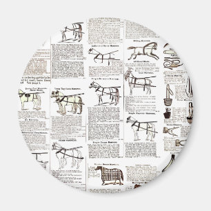 Íman arte de pintura de cavalo