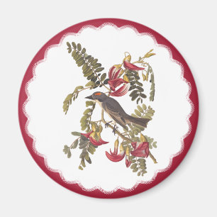 Íman Arte de Placa de Vintagem do Tyrant da Cinza Audub