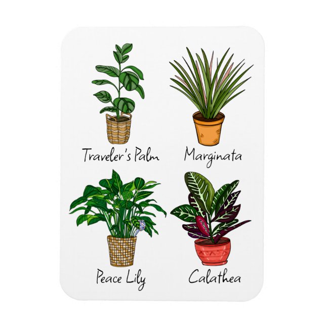 Íman Arte De Plantas De Casa Desenhadas À Mão (Vertical)