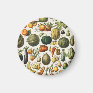 Íman Arte de Poster de Frutas Botânicas Francesas Vinta
