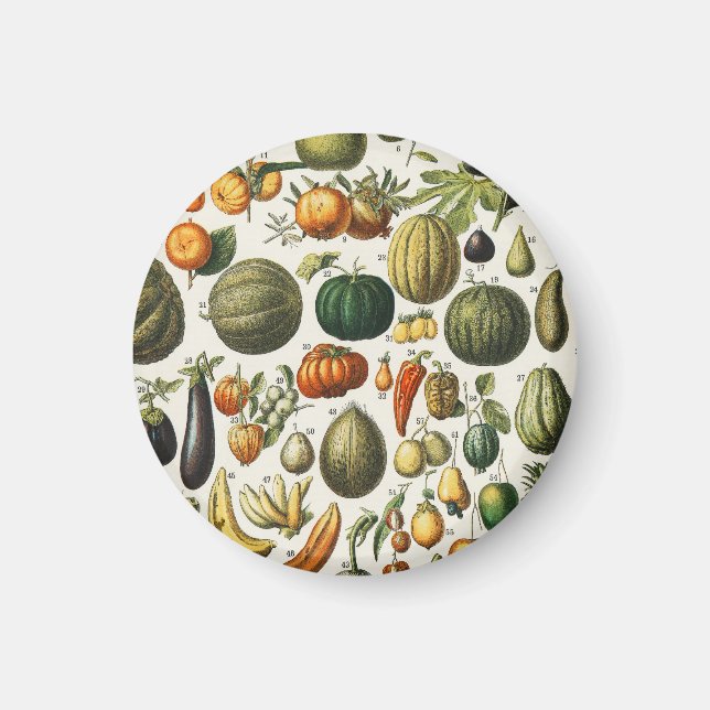 Íman Arte de Poster de Frutas Botânicas Francesas Vinta (Frente)