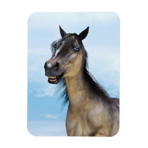 Íman Arte de retrato de cavalo com sorriso engraçado