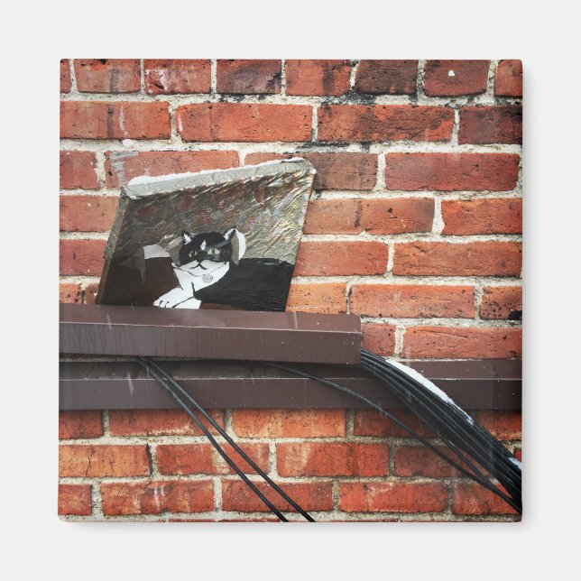 Íman arte do gato beco (Frente)